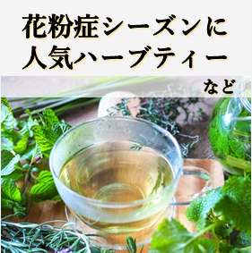春の体調管理に!おすすめオーガニックハーブティー5選