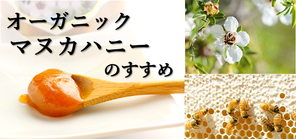 マヌカハニーのすすめ。のどの不調、春のむずむずにも。