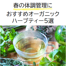 春の体調管理に!おすすめオーガニックハーブティー5選