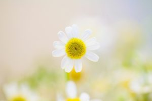 ishiyukari_02