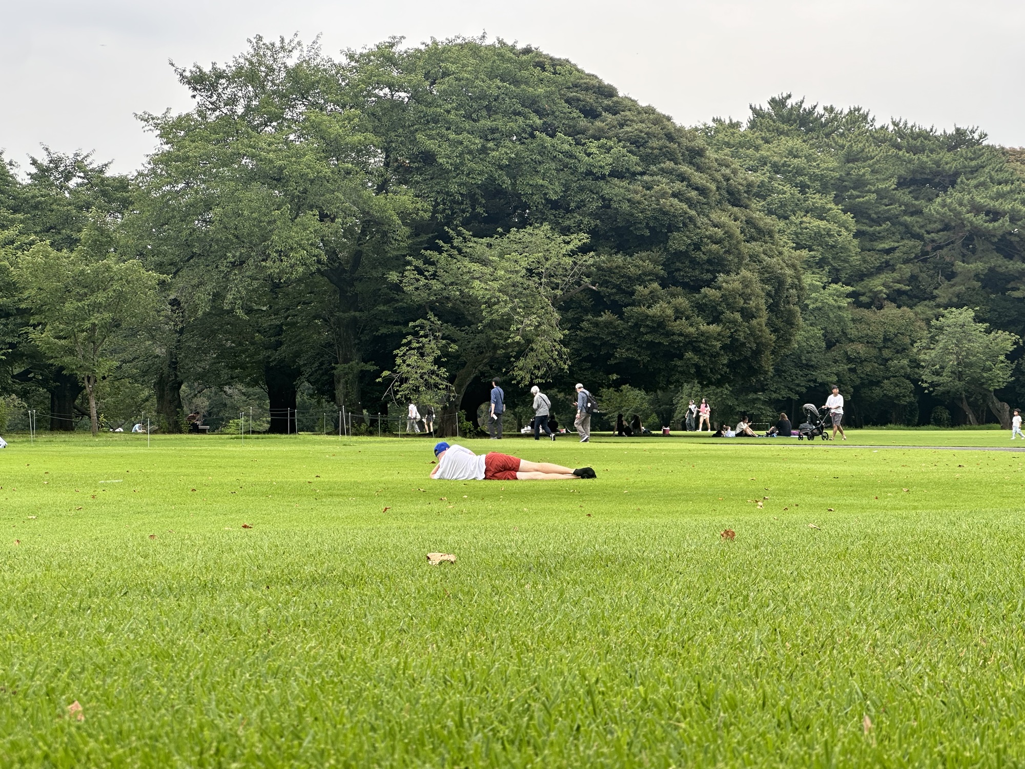shuko_260821_01