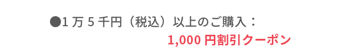 最大1,000円OFF！新春冬の特別クーポン