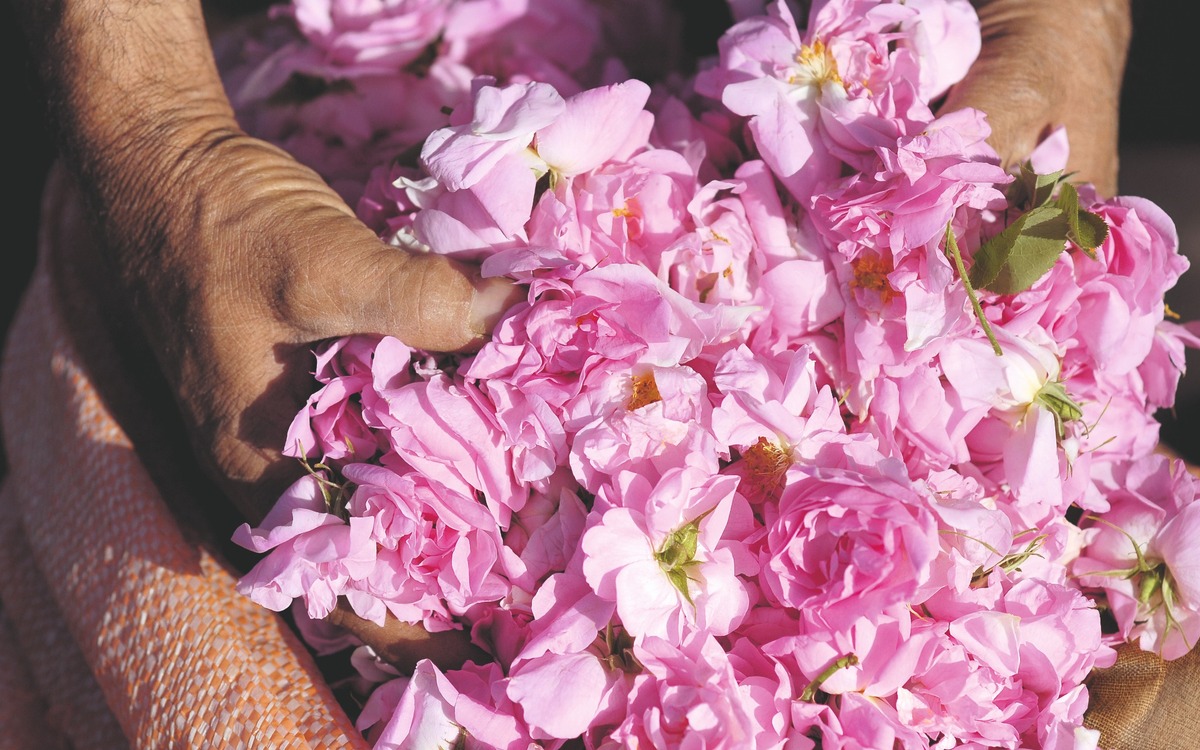植物・農場とのつながり