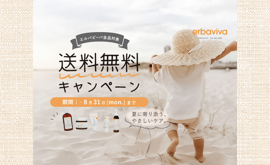 EV送料無料